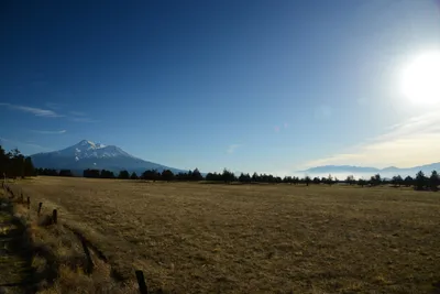 DSC_2993 (Large).JPG